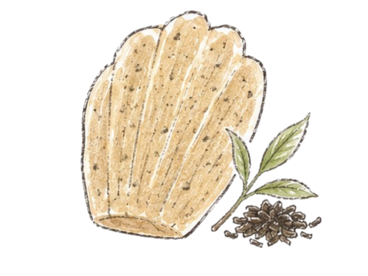 三溫糖伯爵茶胖貝瑪德蓮
