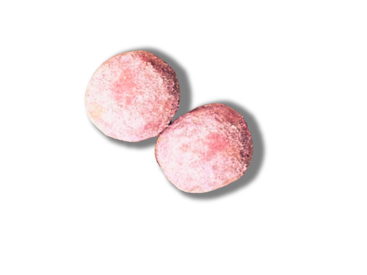 光嶼製菓海藻糖蔓越莓雪球